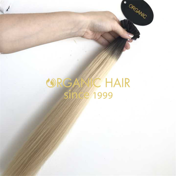 Slavic U-tip hair extensions  H196